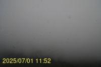 Img20250701_115217.jpg