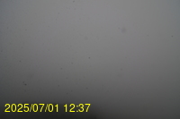 Img20250701_123717.jpg