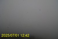 Img20250701_124217.jpg