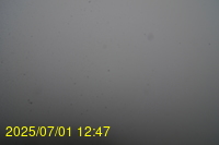 Img20250701_124717.jpg