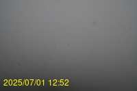 Img20250701_125217.jpg