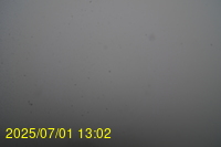 Img20250701_130217.jpg
