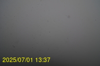 Img20250701_133717.jpg
