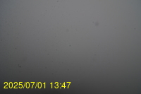 Img20250701_134718.jpg