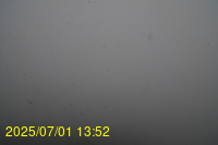 Img20250701_135218.jpg