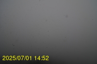 Img20250701_145218.jpg