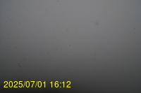 Img20250701_161218.jpg