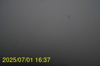 Img20250701_163718.jpg