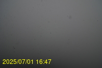 Img20250701_164718.jpg