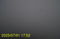 Img20250701_175218.jpg