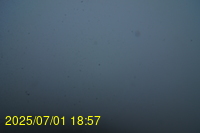 Img20250701_185719.jpg