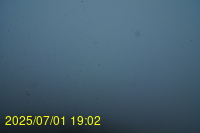 Img20250701_190219.jpg