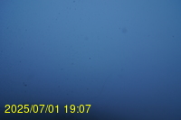 Img20250701_190719.jpg