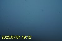 Img20250701_191219.jpg
