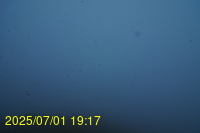 Img20250701_191719.jpg