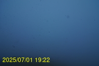 Img20250701_192219.jpg