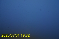 Img20250701_193219.jpg