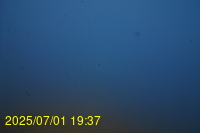 Img20250701_193719.jpg