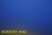 Img20250701_194219.jpg