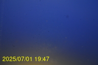 Img20250701_194719.jpg
