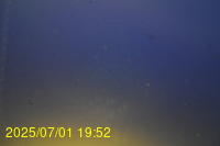 Img20250701_195219.jpg
