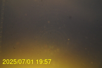 Img20250701_195719.jpg