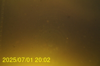 Img20250701_200219.jpg