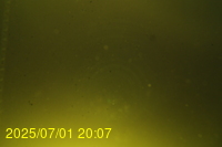 Img20250701_200719.jpg