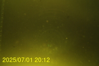 Img20250701_201219.jpg