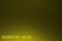 Img20250701_202219.jpg