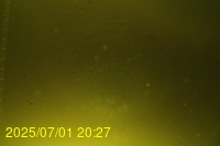 Img20250701_202719.jpg