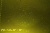 Img20250701_203219.jpg