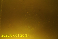 Img20250701_203719.jpg
