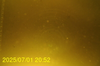 Img20250701_205219.jpg