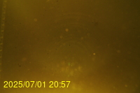 Img20250701_205719.jpg