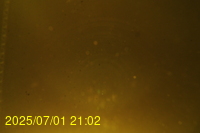 Img20250701_210219.jpg