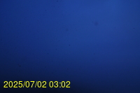 Img20250702_030221.jpg