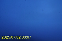 Img20250702_030721.jpg