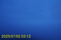 Img20250702_031221.jpg