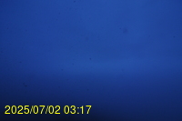 Img20250702_031721.jpg
