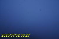 Img20250702_032721.jpg