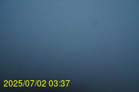 Img20250702_033721.jpg