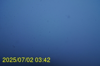 Img20250702_034221.jpg