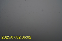 Img20250702_060221.jpg