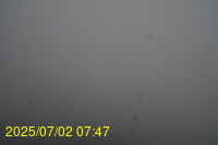 Img20250702_074722.jpg