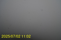 Img20250702_110223.jpg