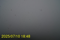 Img20250710_184810.jpg