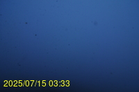 Img20250715_033335.jpg