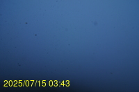 Img20250715_034335.jpg