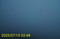Img20250715_034835.jpg